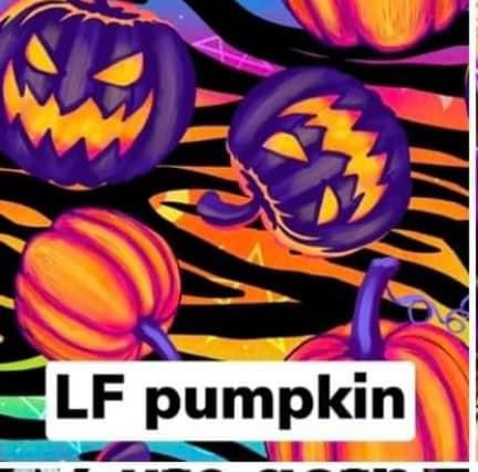 LF pumpkins