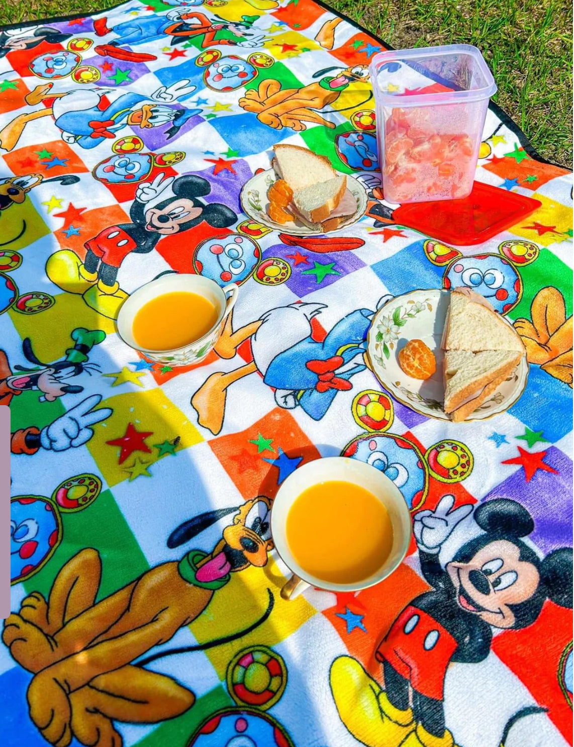 Picnic blanket